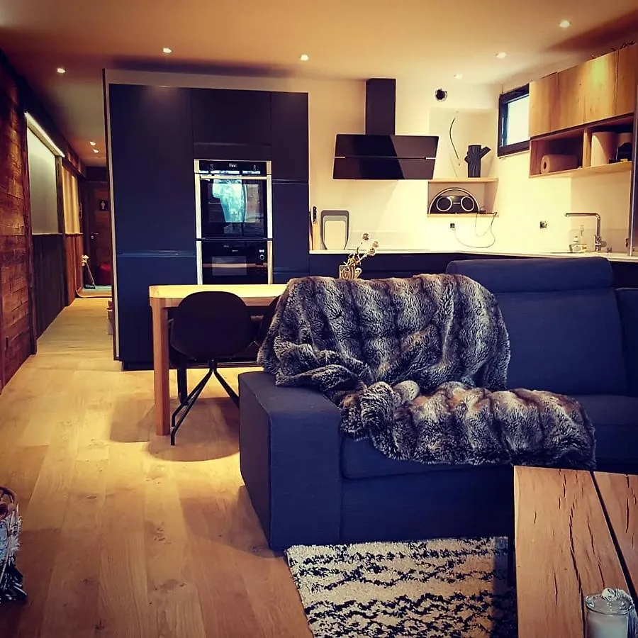 Apartment Spot, Exceptl 80 M2, Centre Alpe D Huez, Ski Au Pied, Menandiere, 8 Pers, 3Ch, 3Sdb Alpe d'Huez France